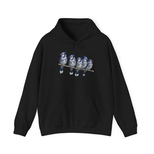 Blue Jays Hoodie Bird Lover & Bird Watcher | Unisex Sweater | Gift for Bird Lovers