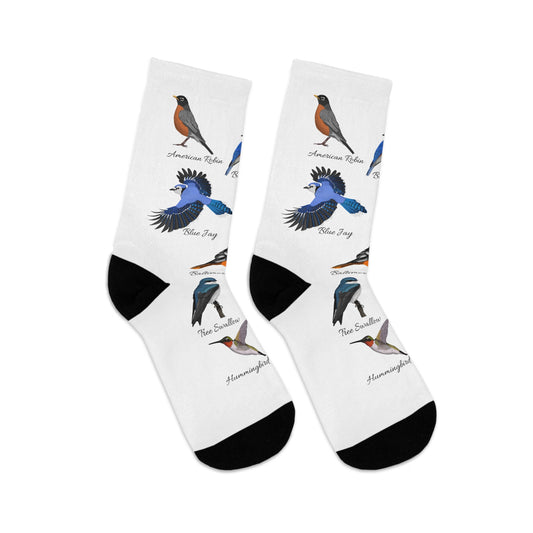 Garden Birds Blue Jay Cardinal Bluebird Robin Birding & Birdwatching Bird Socks White