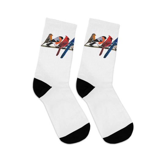 Garden Birds Blue Jay Cardinal Bullfinch Birding & Birdwatching Bird Socks White