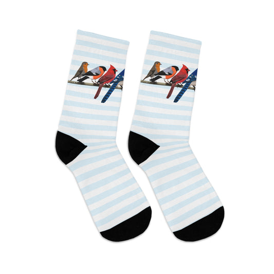Garden Birds Blue Jay Cardinal Bullfinch Stripes Blue White Birding & Birdwatching Bird Socks