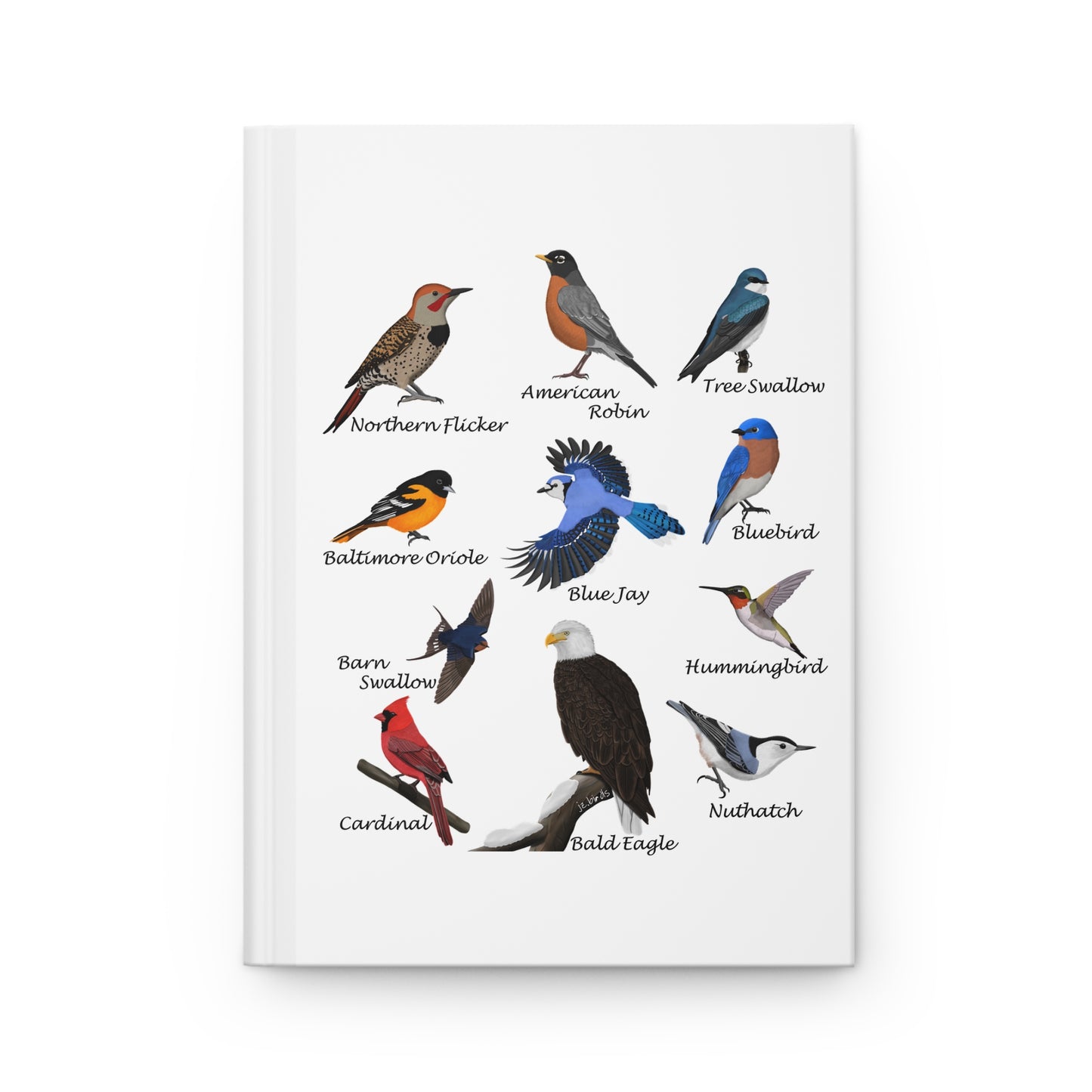 Garden Birds Blue Jay Cardinal Hummingbird Oriole Bird Hardcover Journal