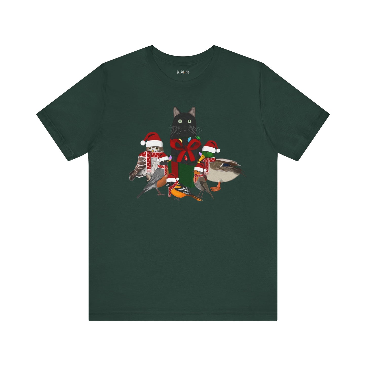 Robin Mallard Oriole Owl with Cat in a Box and Fairy Lights Christmas Bird T-Shirt