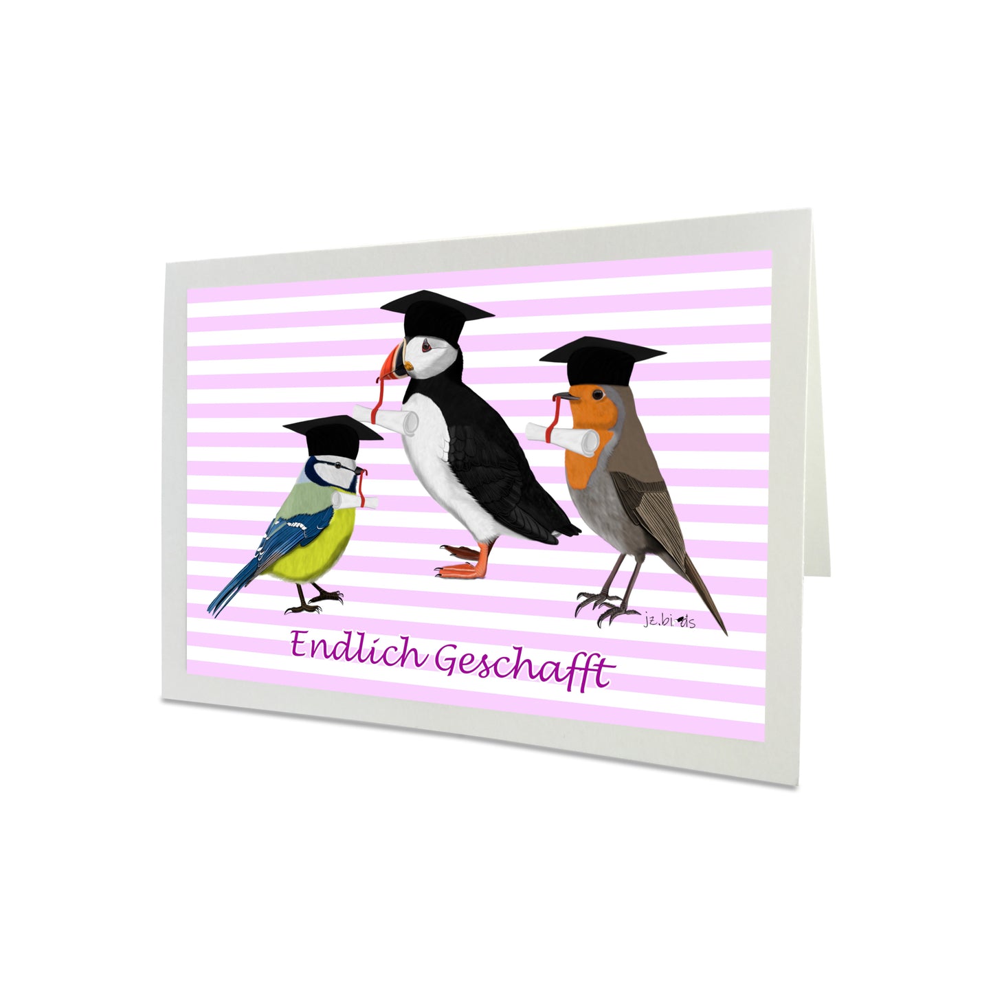 Rotkehlchen Blaumeise Papageitaucher Vogel Glückwunschkarte Schulabschluss Abitur Uni Rosa/Blau Farbe Personalisierbar