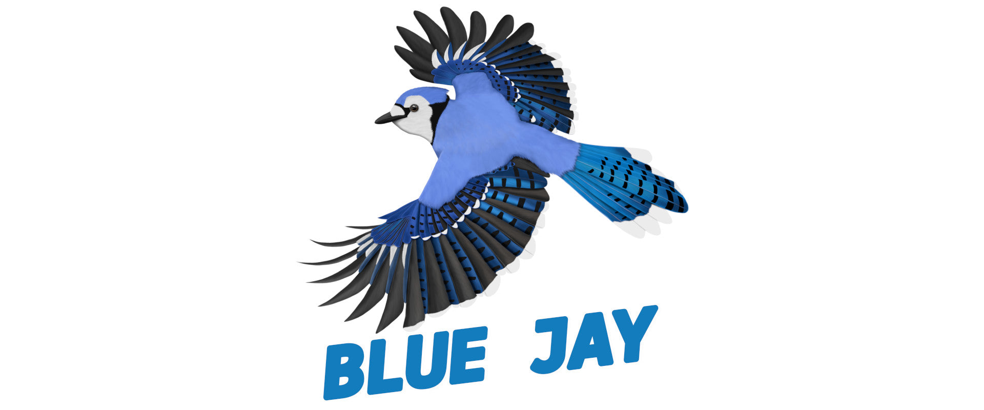 blue jay bird tshirts sweatshirts mugs. great gifts for bird lovers
