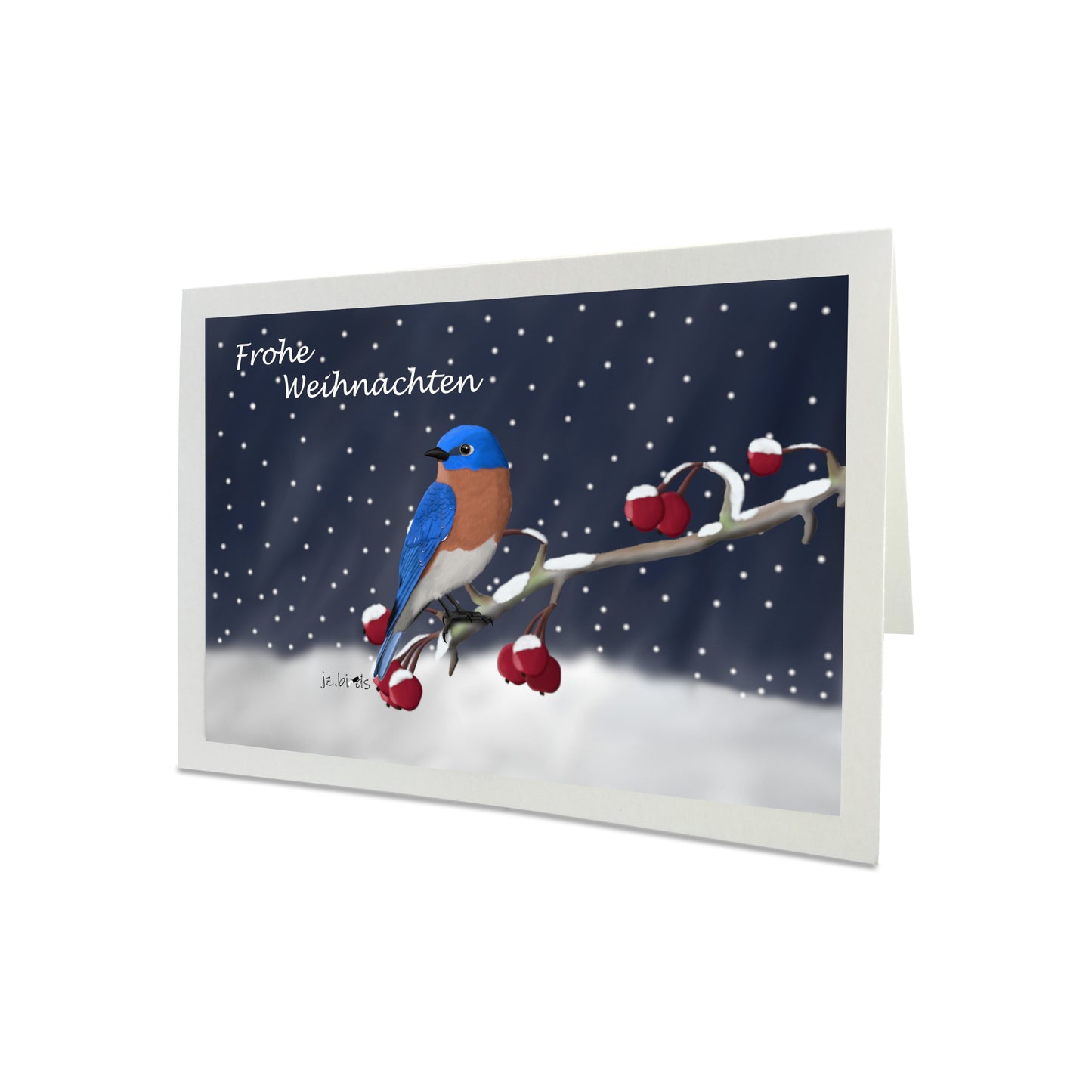 Weihnachtskarte Bluebird im Schnee Vogel Zeichnung Frohe Weihnachten Inklusive Umschlag