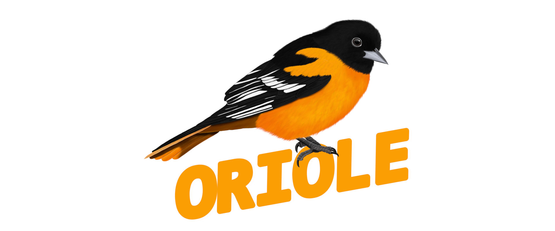 oriole bird tshirts sweatshirts mugs. great gifts for bird lovers
