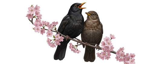 birds on a branch with cherry blossoms
