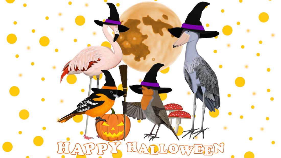 Funny Halloween Bird Designs & Decor