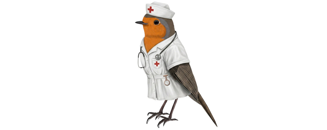 Small Bird, Big Heart: Why the Robin is the Perfect Symbol for Nurses