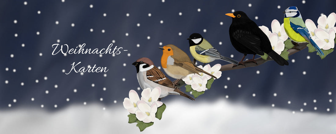 weihnachtskarten mit vogelmotiven, rotkehlchen weihnachtskarte, amsel weihnachtskarte, taube weihnachtskarte