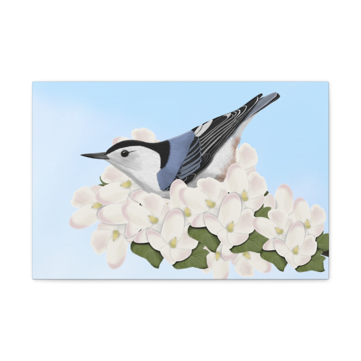 bird art canvas gallery wraps