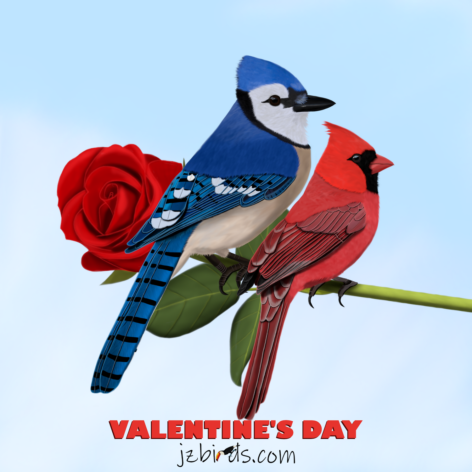 jz.birds valentine's day bird gifts