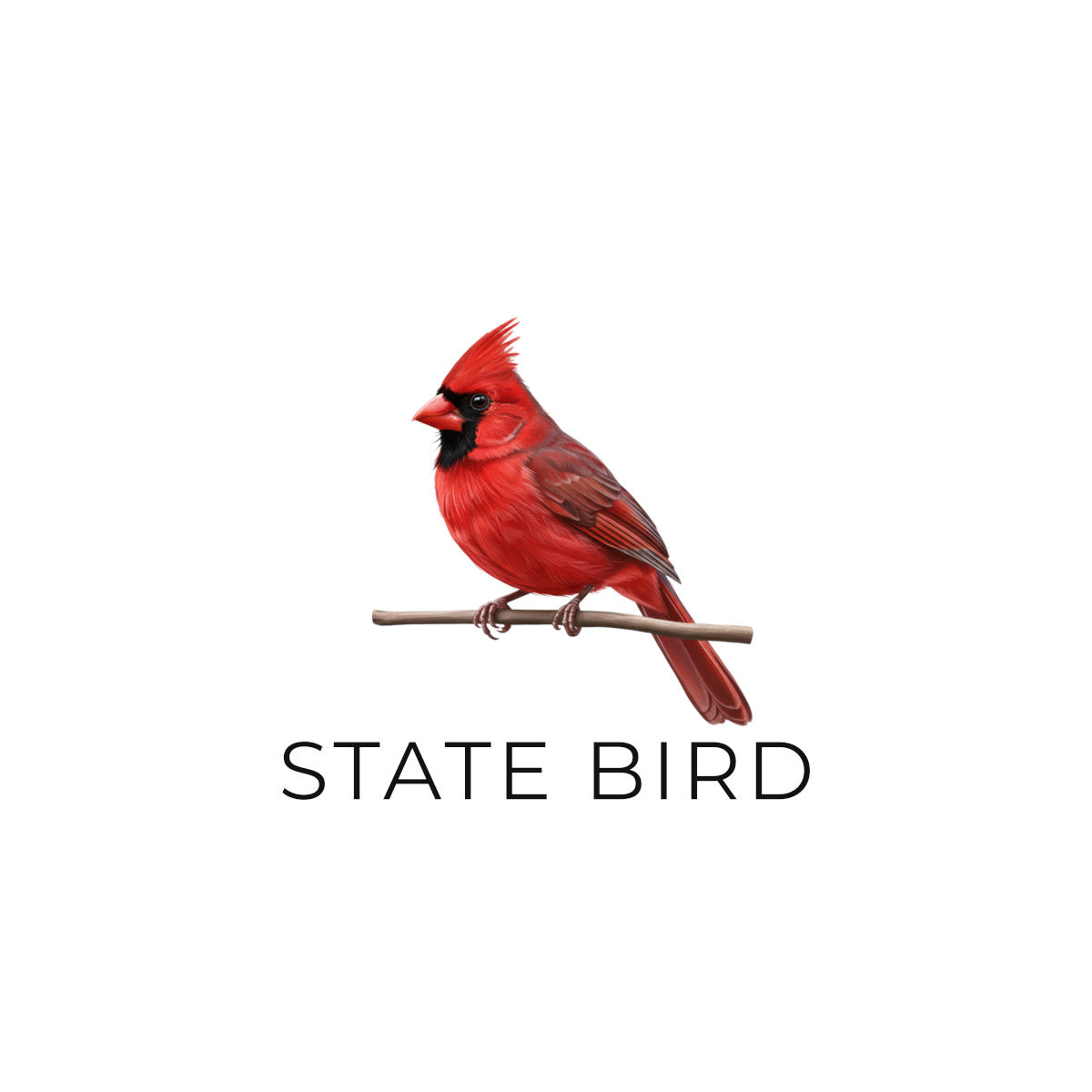 US State Bird Collection. the northern cardinal official state bird