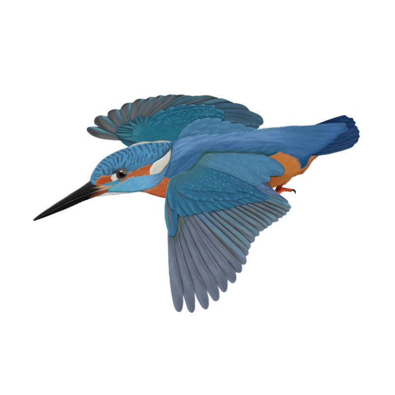 カワセミのTシャツ・グッズ：空飛ぶ宝石のデザイン