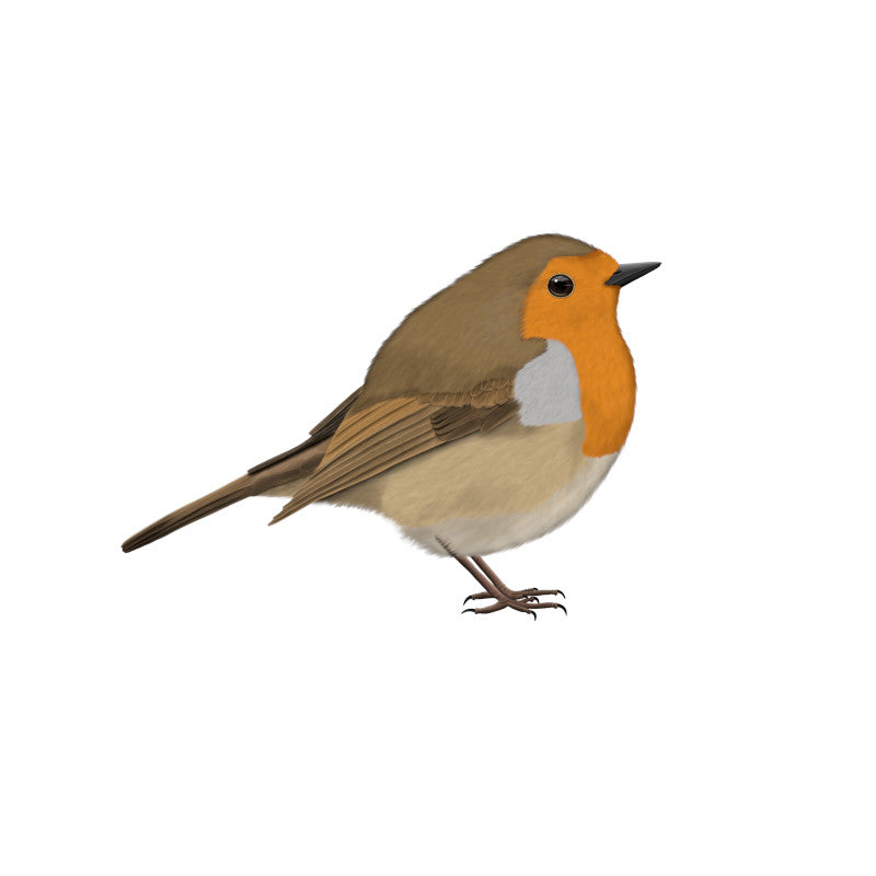 European Robin Birding & Birdwatching Designs