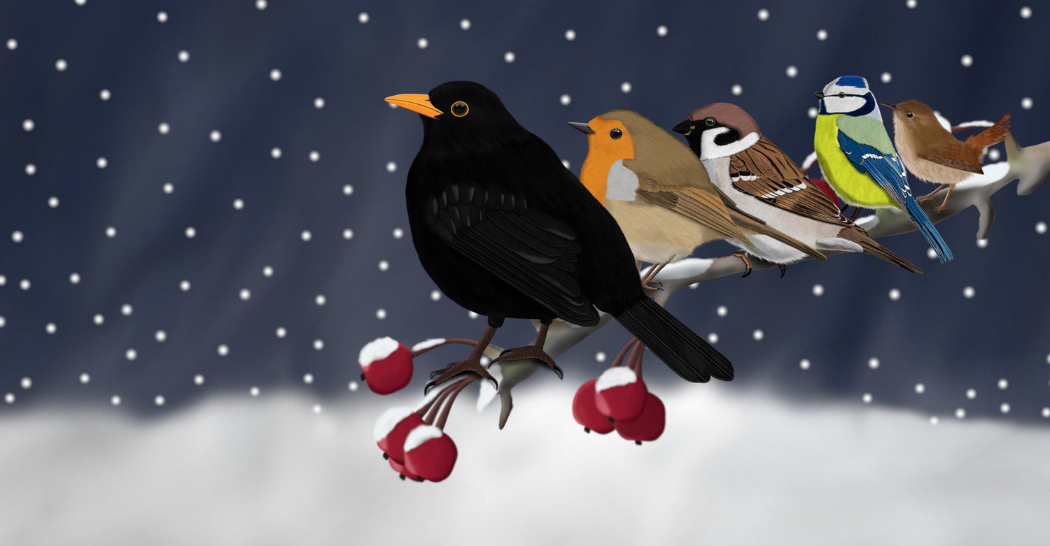 Weihnachtliche Vogel Illustration mit einer Amsel, Rotkehlchen, Haussperling, Blaumeise und einem Zaunkönig auf einem winterlichen Ast mit roten Hagebutten vor einer verschneiten Landschaft.