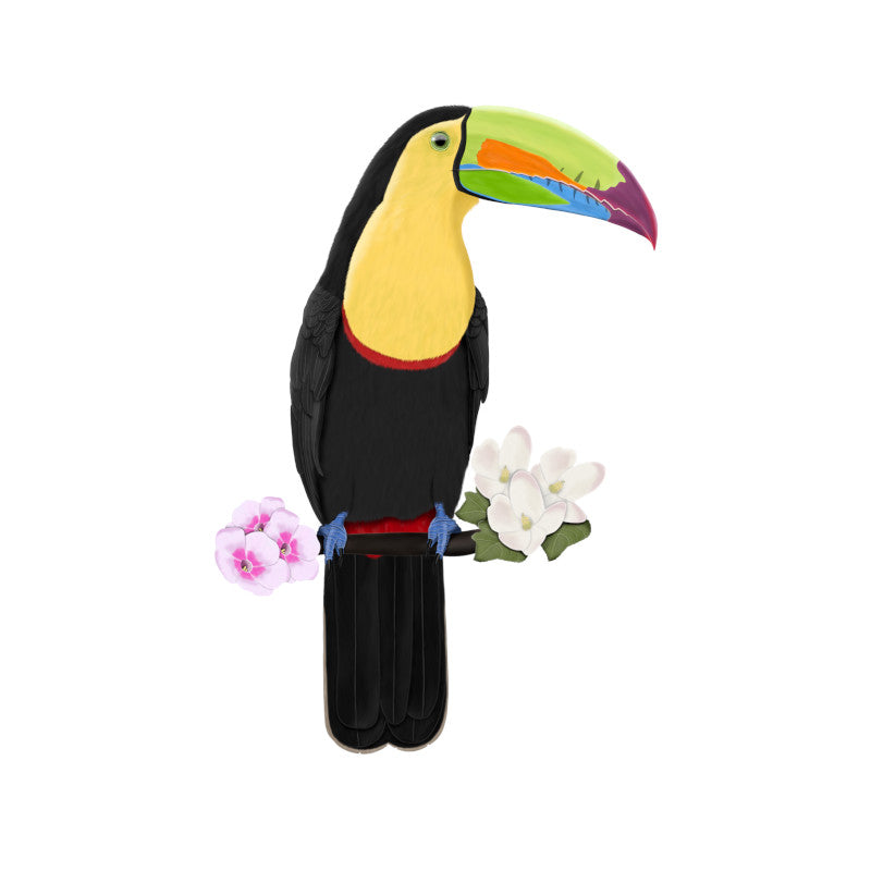 Keel-Billed Toucan Birding & BIrdwatching Designs