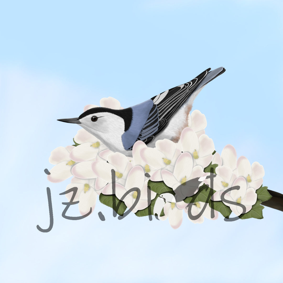 bird art spring collection. t-shirts, mugs, pillows and more