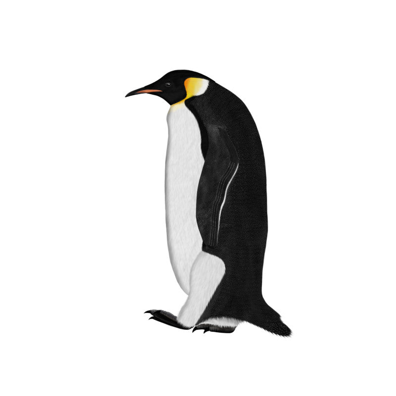 Pinguin Designs für Vogelbeobachter & Vogelfreunde