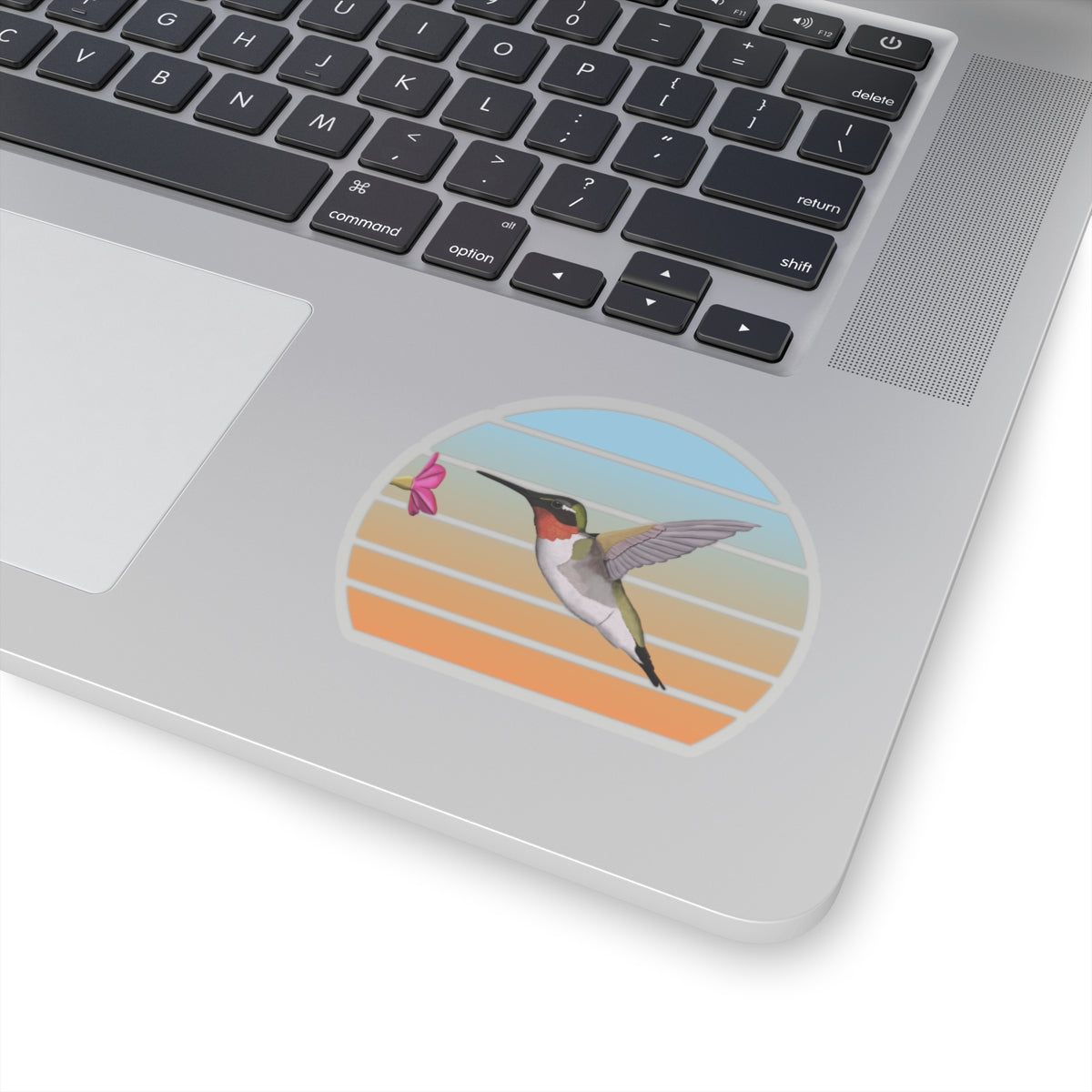 Hummingbird Bird Sticker