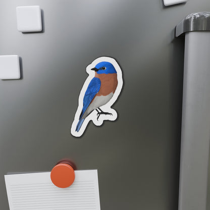 Bluebird Bird Magnet