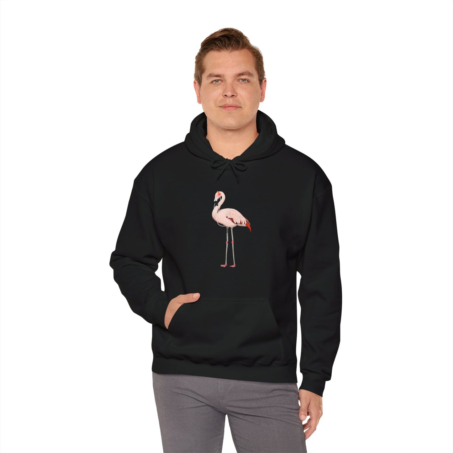 Flamingo with Music Headphones Bird Birdwatching Birdlover Hoodie