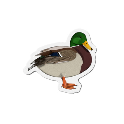 Mallard Bird Magnet