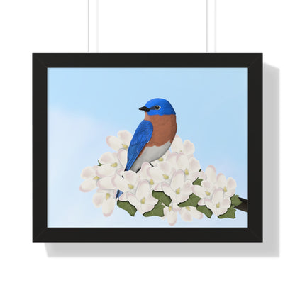 Eastern Bluebird Spring Blossoms Bird Framed Poster