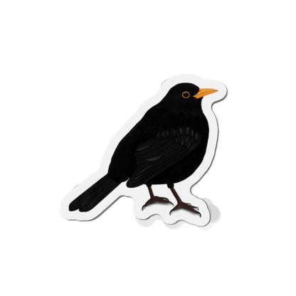 Blackbird Bird Magnet