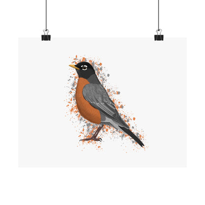 American Robin Bird Artwork Matte Poster