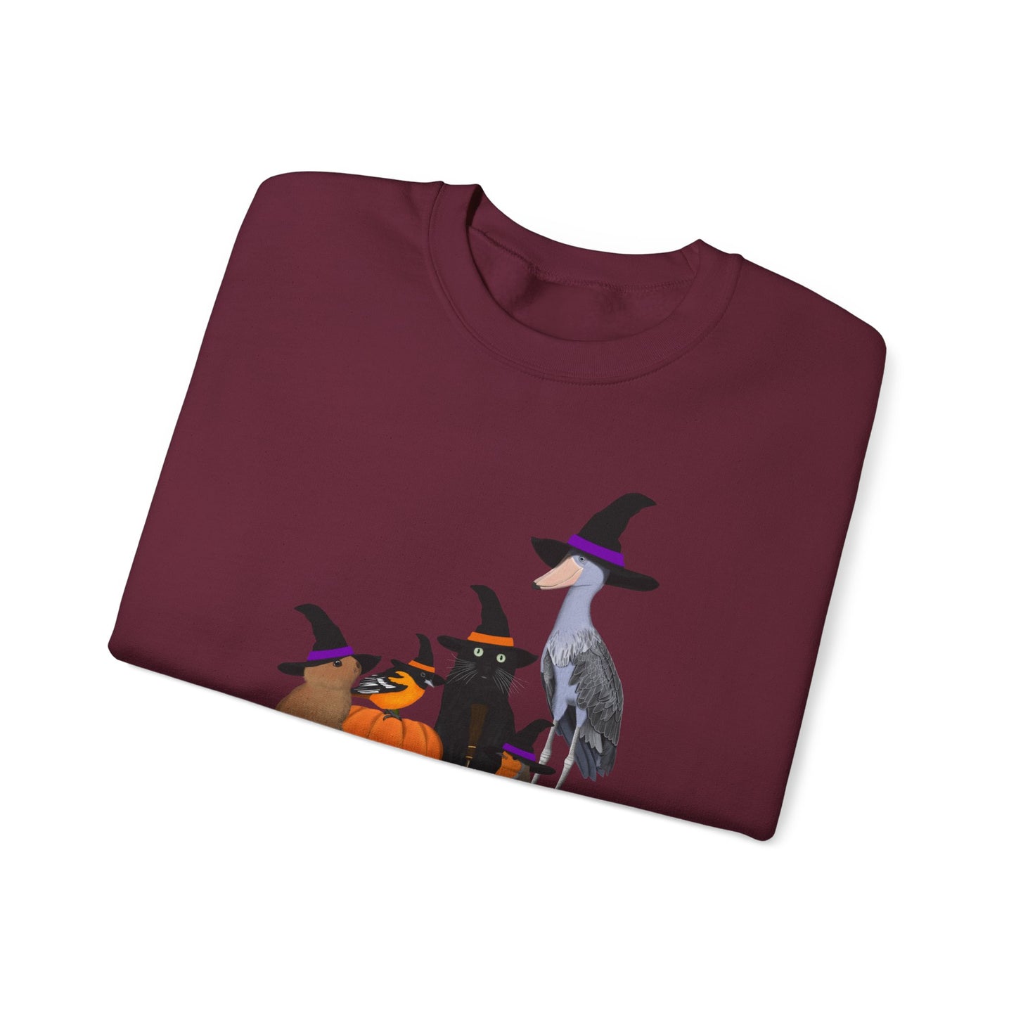 Robin Shoebill Oriole Rabbit with Cat Halloween Birds Sweatshirt