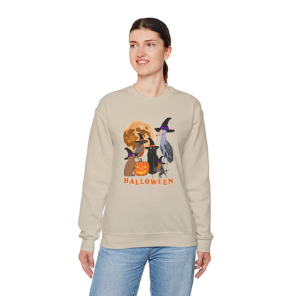 Robin Shoebill Rabbit with Cat and Bunny Halloween Bird Sweatshirt