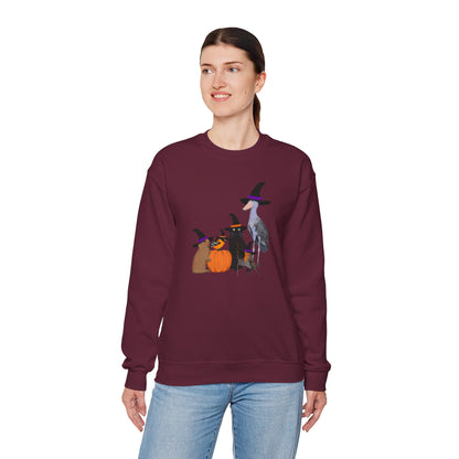 Robin Shoebill Oriole Rabbit with Cat Halloween Birds Sweatshirt