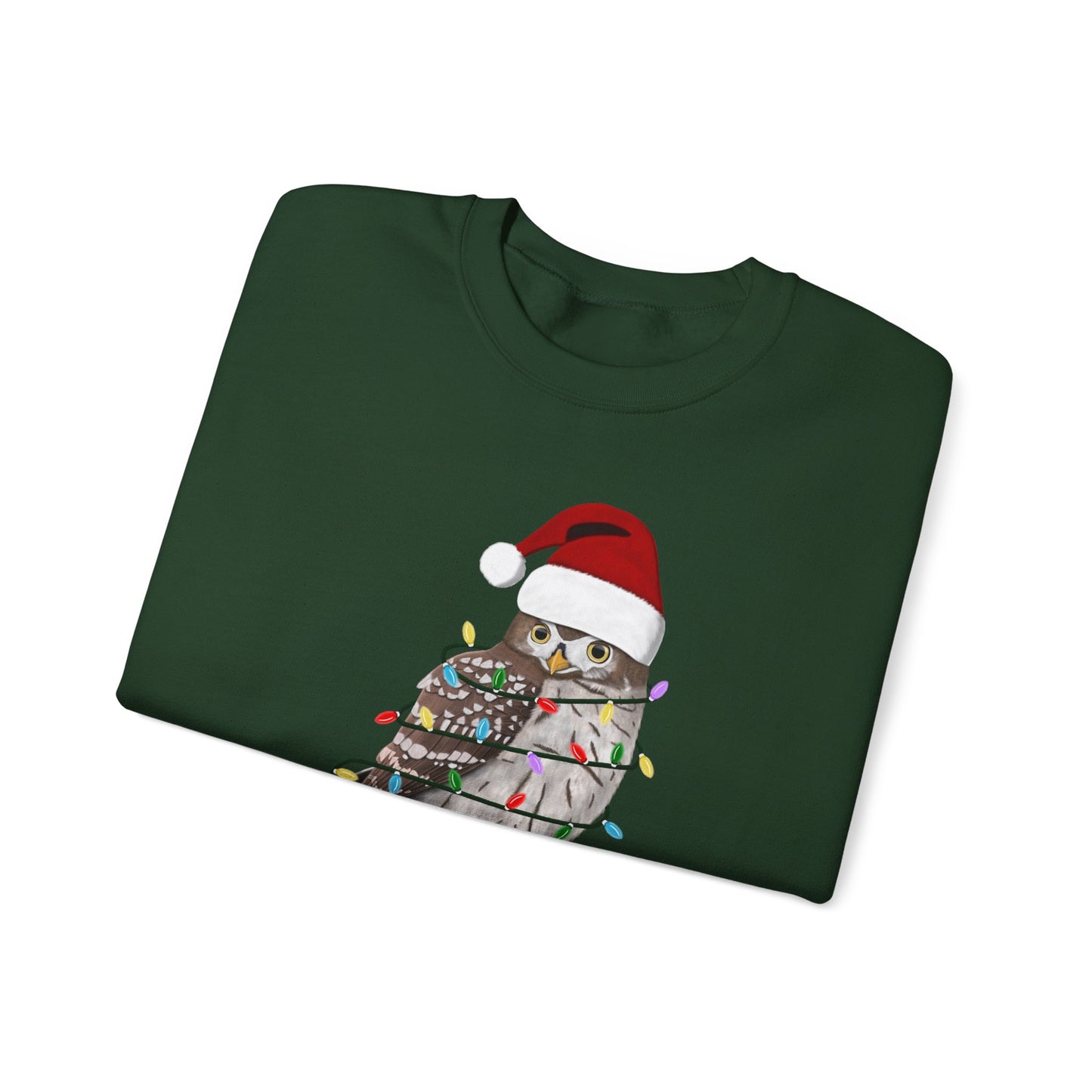 Owl with Fairy Lights Santa Claus Christmas Bird Sweatshirt