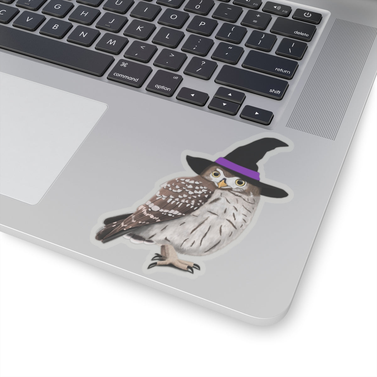 Owl Halloween Witch Hat Bird Sticker