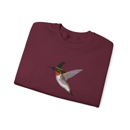 Hummingbird Halloween Birds Witch Birdwatcher Sweatshirt