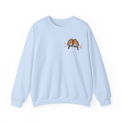 Robin Sweatshirt – Animal Lover Gift, Avian Enthusiast