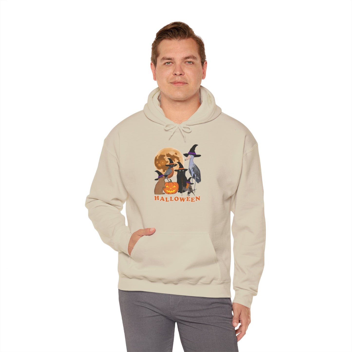 Robin Shoebill with Cat and Bunny Halloween Bird Hoodie