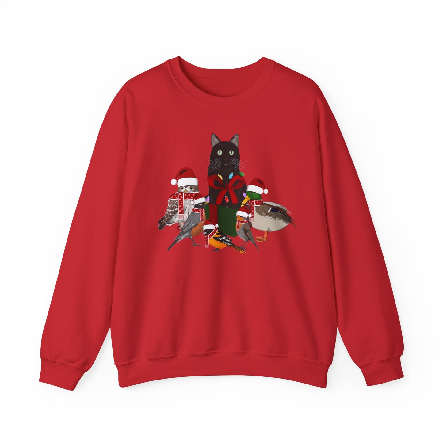 Robin Mallard Oriole Owl with Cat in a Box and Fairy Lights Birdwatcher Christmas Bird Sweatshirt