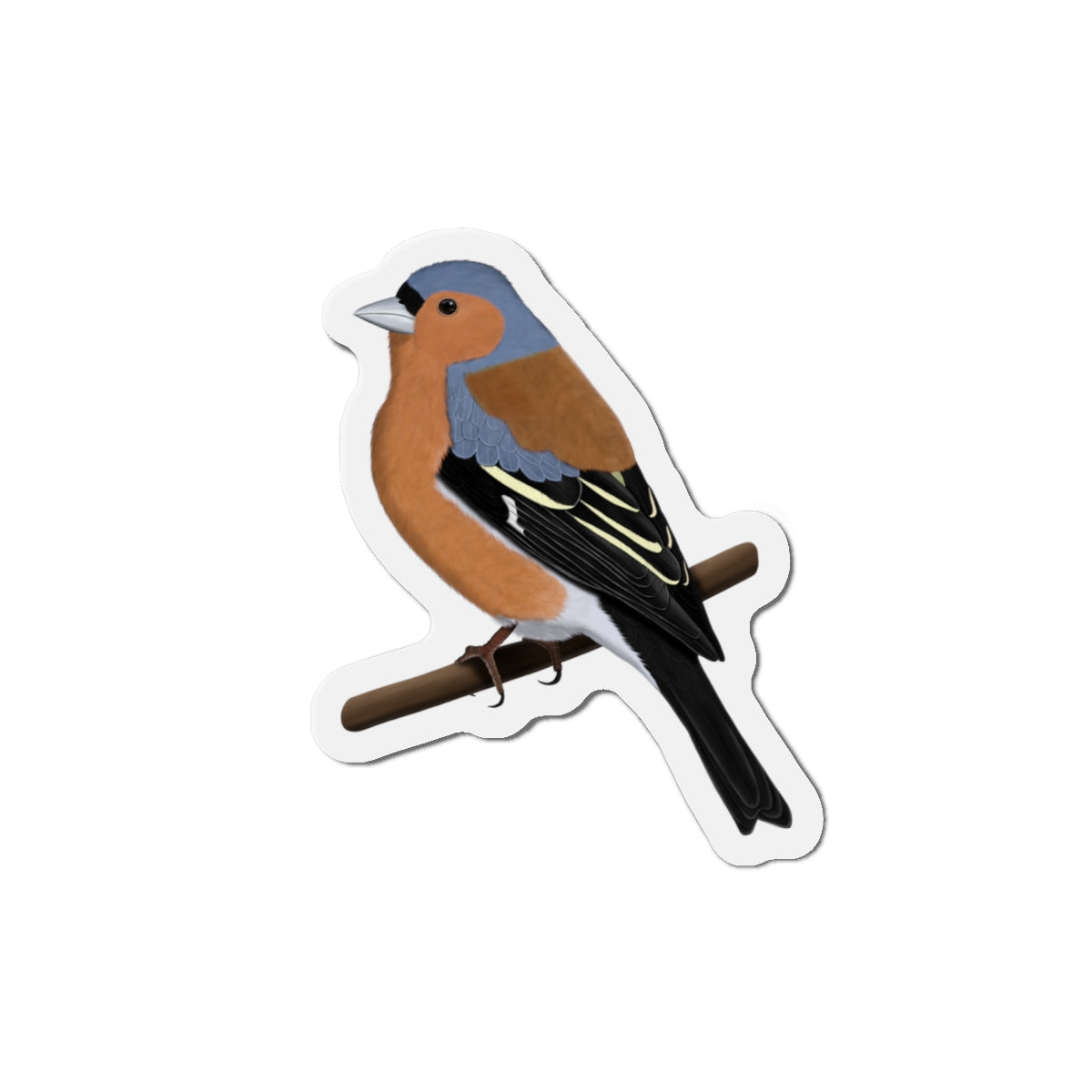 Chaffinch Bird Magnet