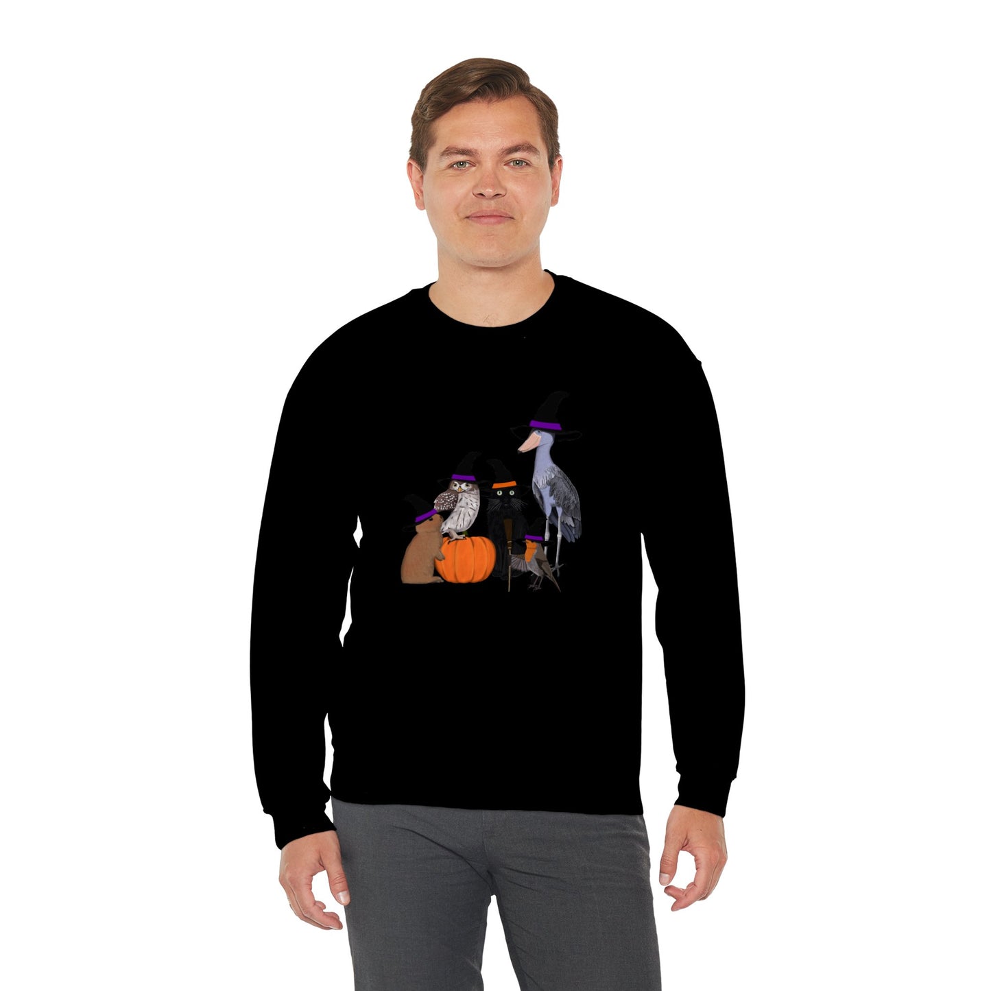 Robin Shoebill Owl Rabbit with Cat Happy Halloween Birds Sweatshirt