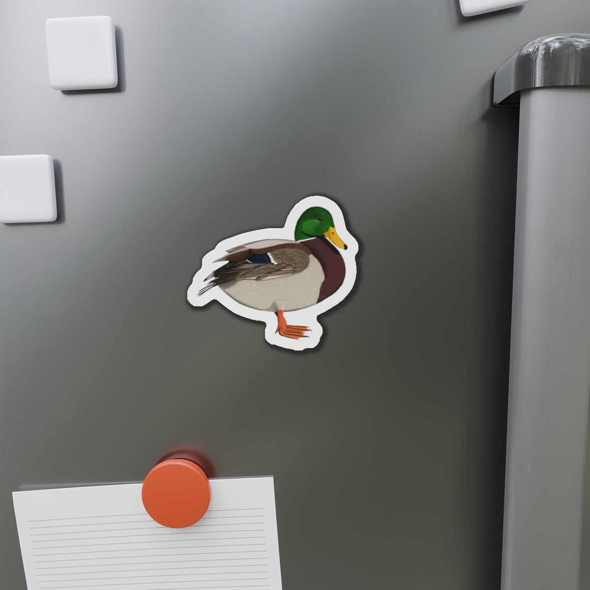 Mallard Bird Magnet