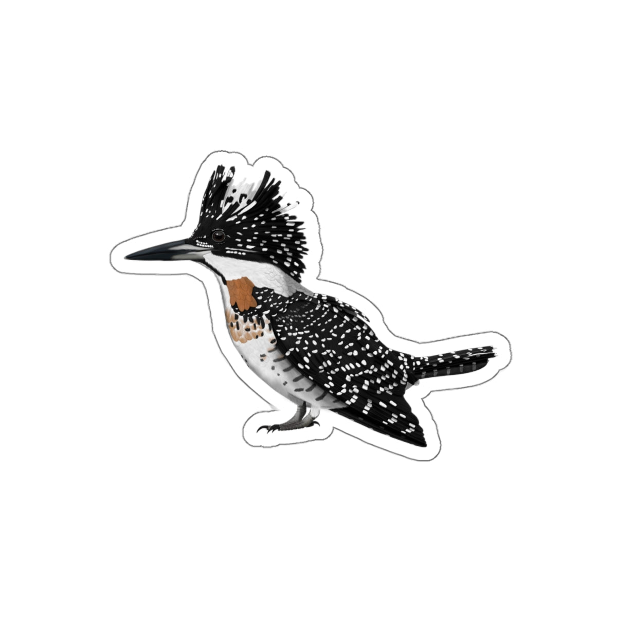 Crested Kingfisher Bird Kiss-Cut Sticker