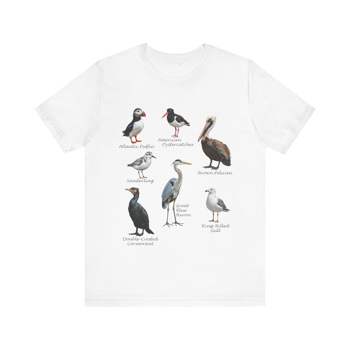 North American Shorebirds Shirt – Pelican, Heron, Puffin & Gull Field Guide
