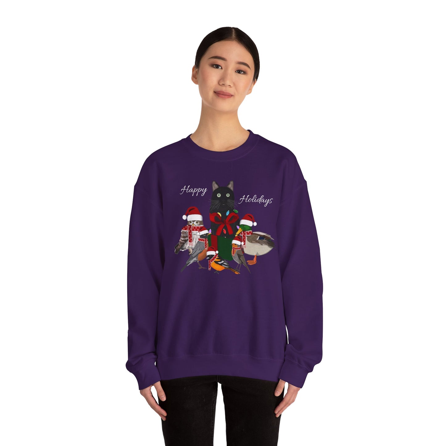 Robin Mallard Oriole Owl with Cat in a Box and Fairy Lights Happy Holidays Christmas Bird Sweatshirt