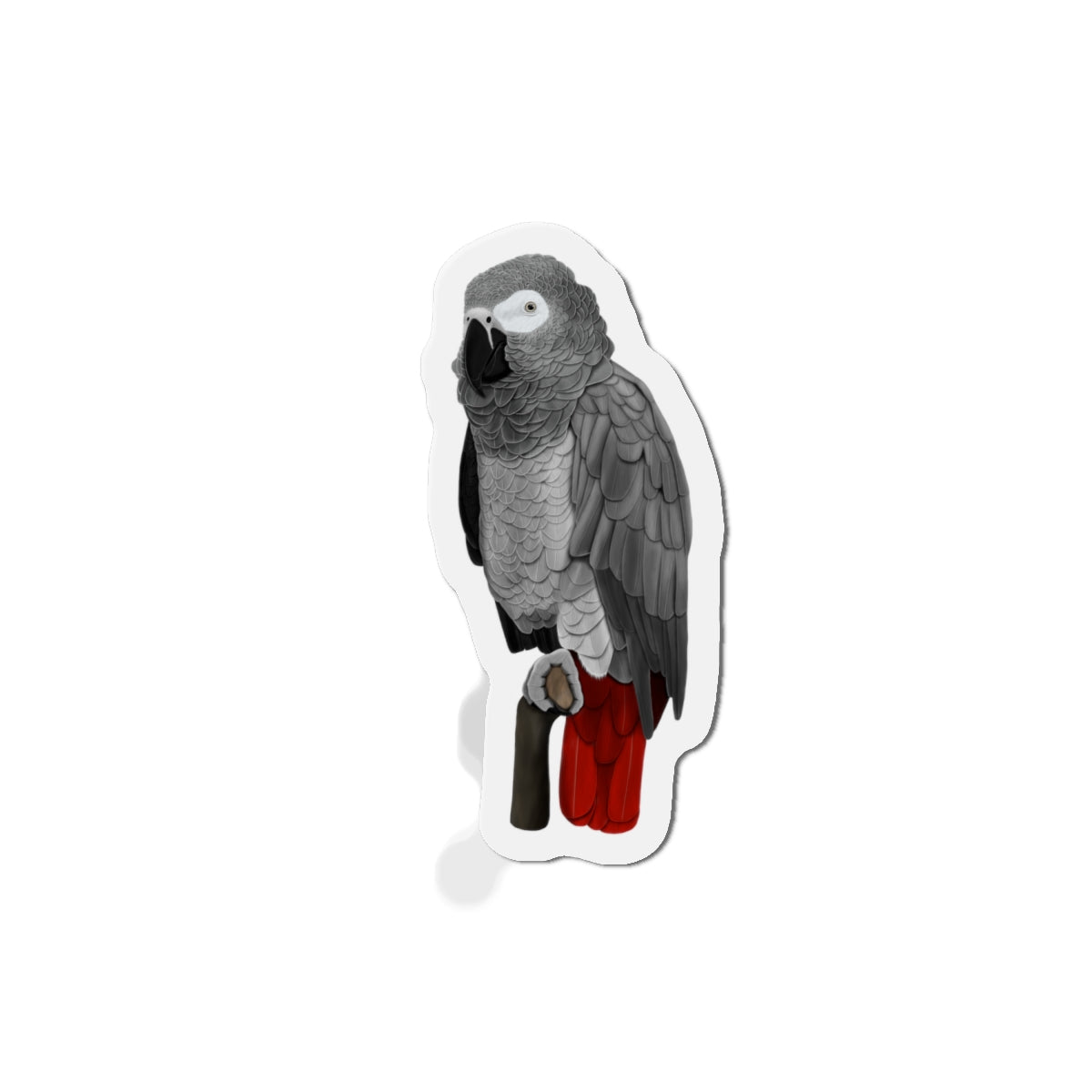 Grey Parrot Bird Magnet