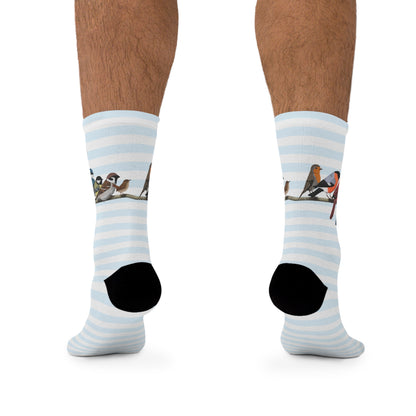 Garden Birds Blue Jay Cardinal Bullfinch Stripes Blue White Birding & Birdwatching Bird Socks