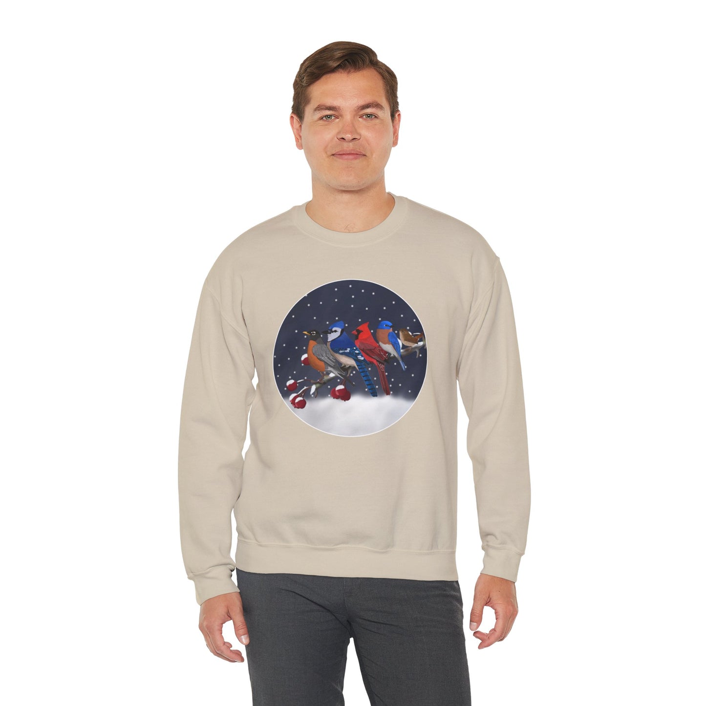 Blue Jay Robin Cardinal Bluebird Wren on a Winter Branch Christmas Bird Sweatshirt