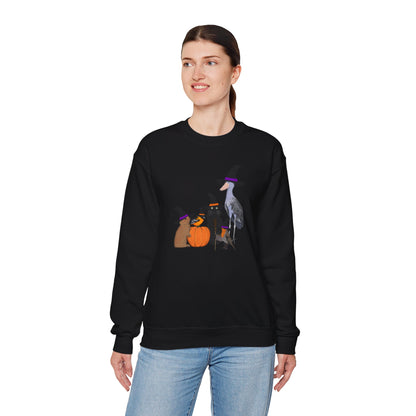 Robin Shoebill Oriole Rabbit with Cat Halloween Birds Sweatshirt