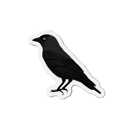 Western Jackdaw Bird Magnet